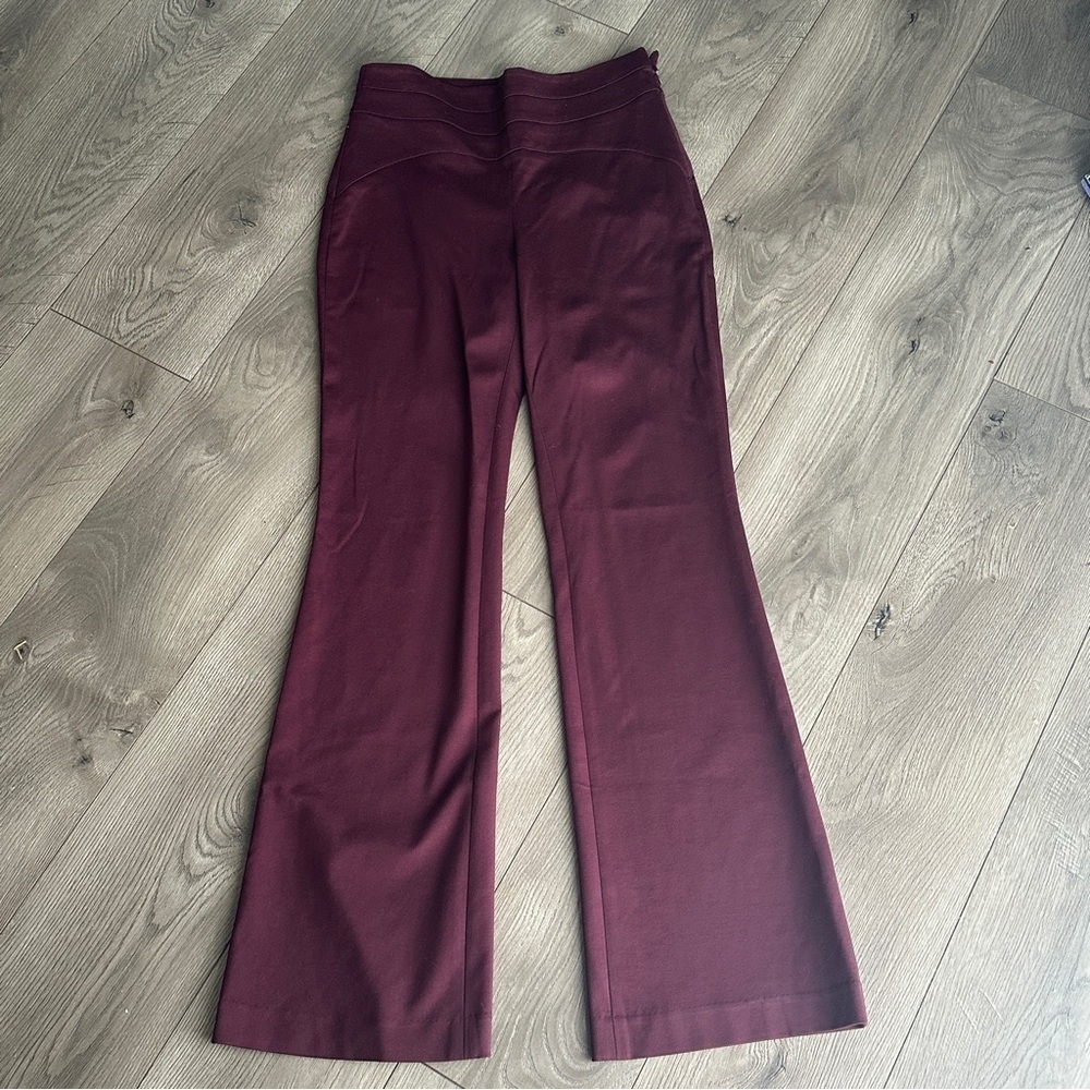 Iris Setlakwe Basic Designer Dress Pants Wide Leg Fit and Flare Pants Trousers 4